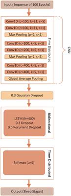 Deep learning-based algorithm accurately classifies sleep stages in preadolescent children with sleep-disordered breathing symptoms and age-matched controls